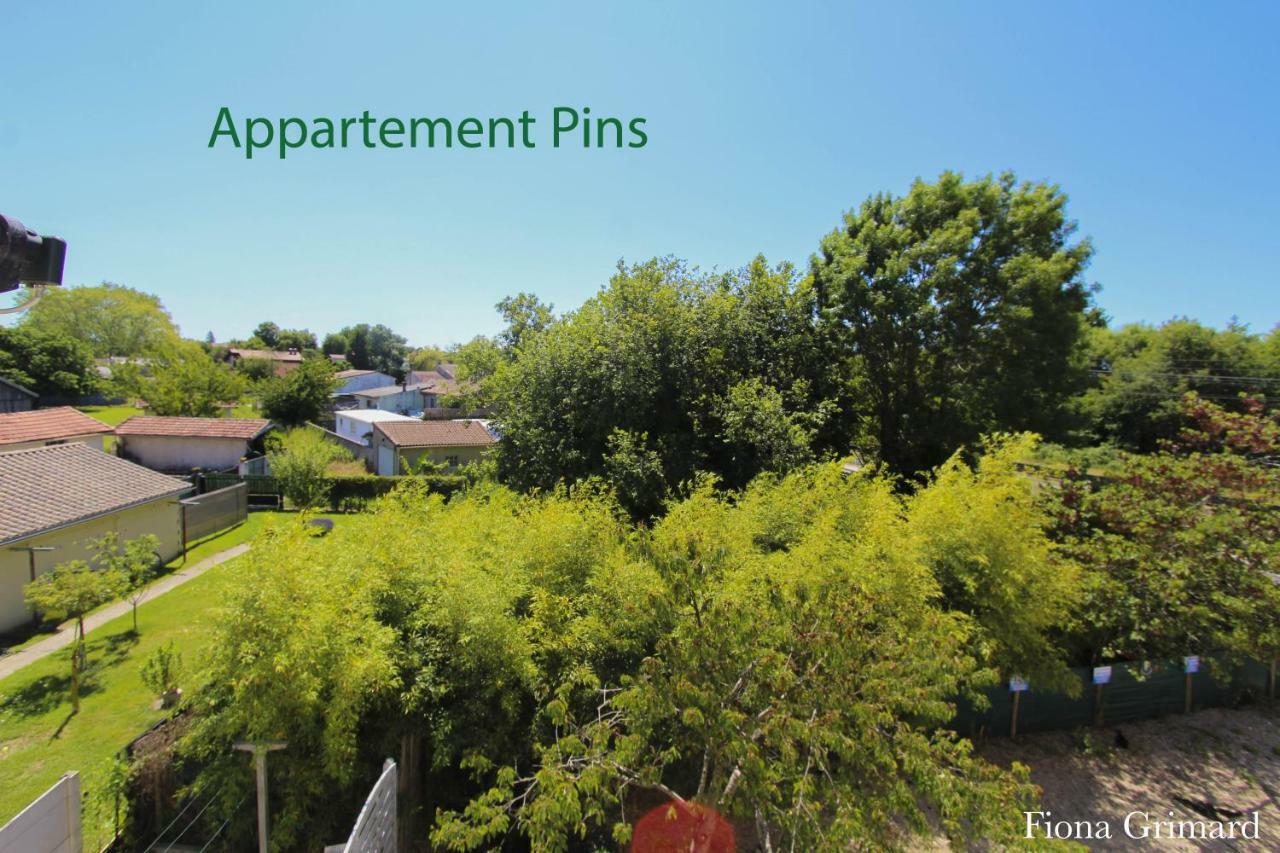 Bureaux Appartements Lesparre Medoc Exterior photo